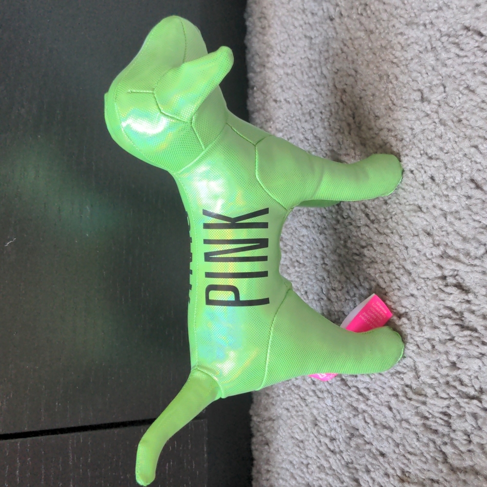 VS pink puppy, vs pink dog